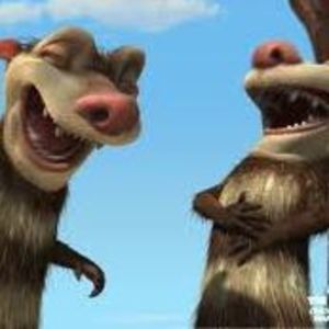 Meet your Posher, Annie